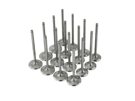 Photo - Unmounted